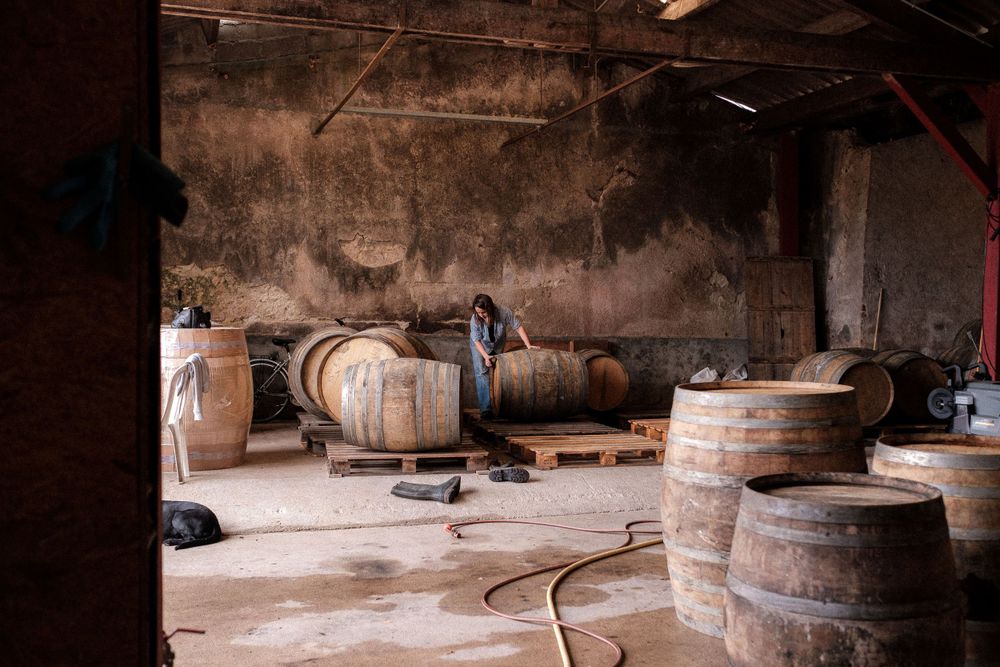 Wooden wine barrels arranged on pallets in an old cellar with distressed walls.