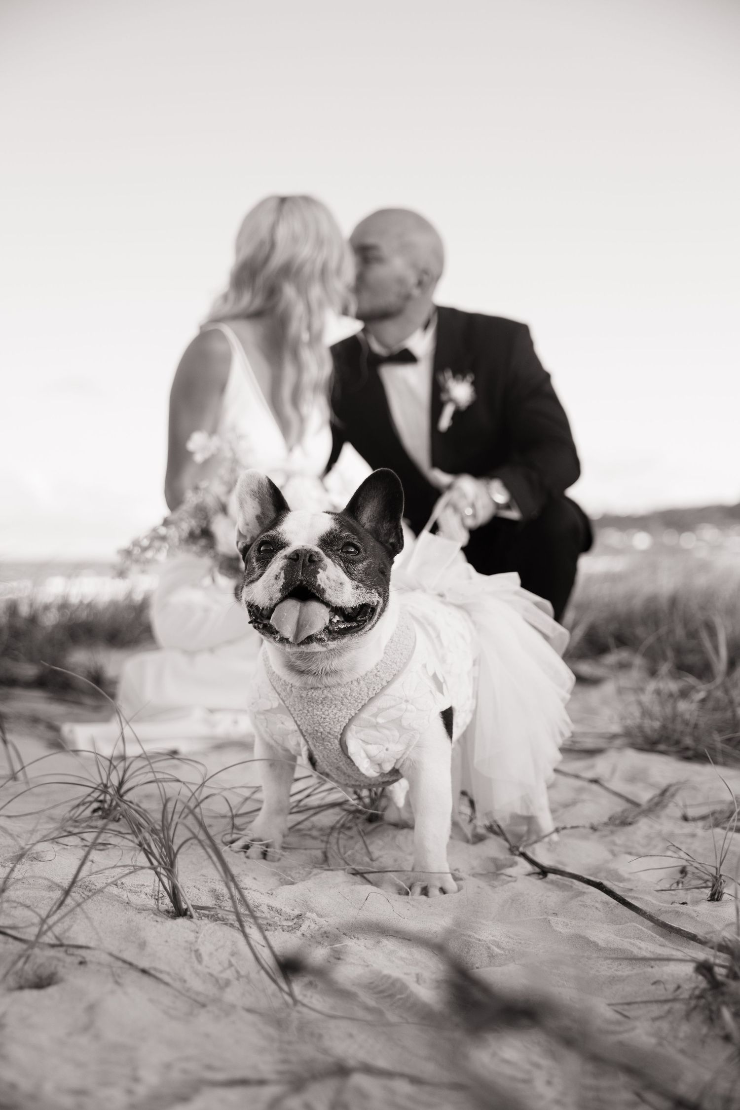 Declan & Tess 20