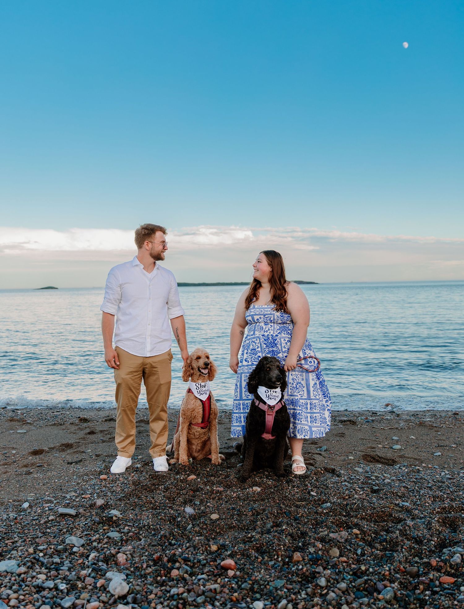 Couple with two dogs wearing bandanas posing on a rocky beach at sunset with calm ocean waters behind them.