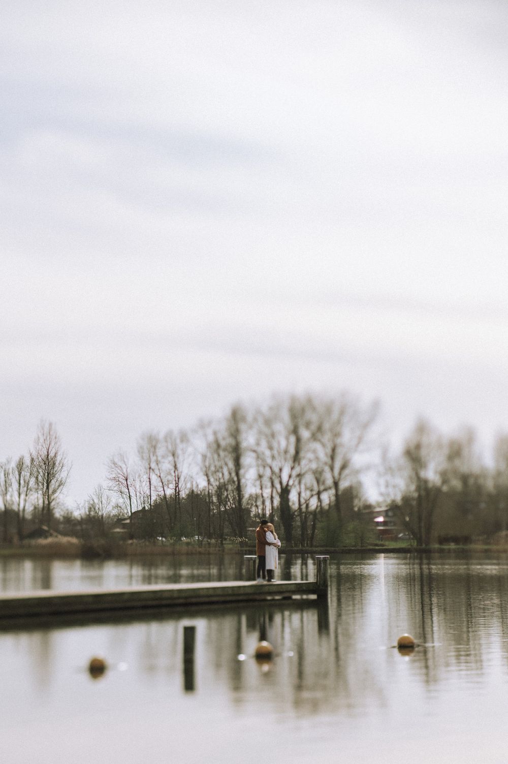 A serene lakeside view with bare trees and calm waters under cloudy skies.