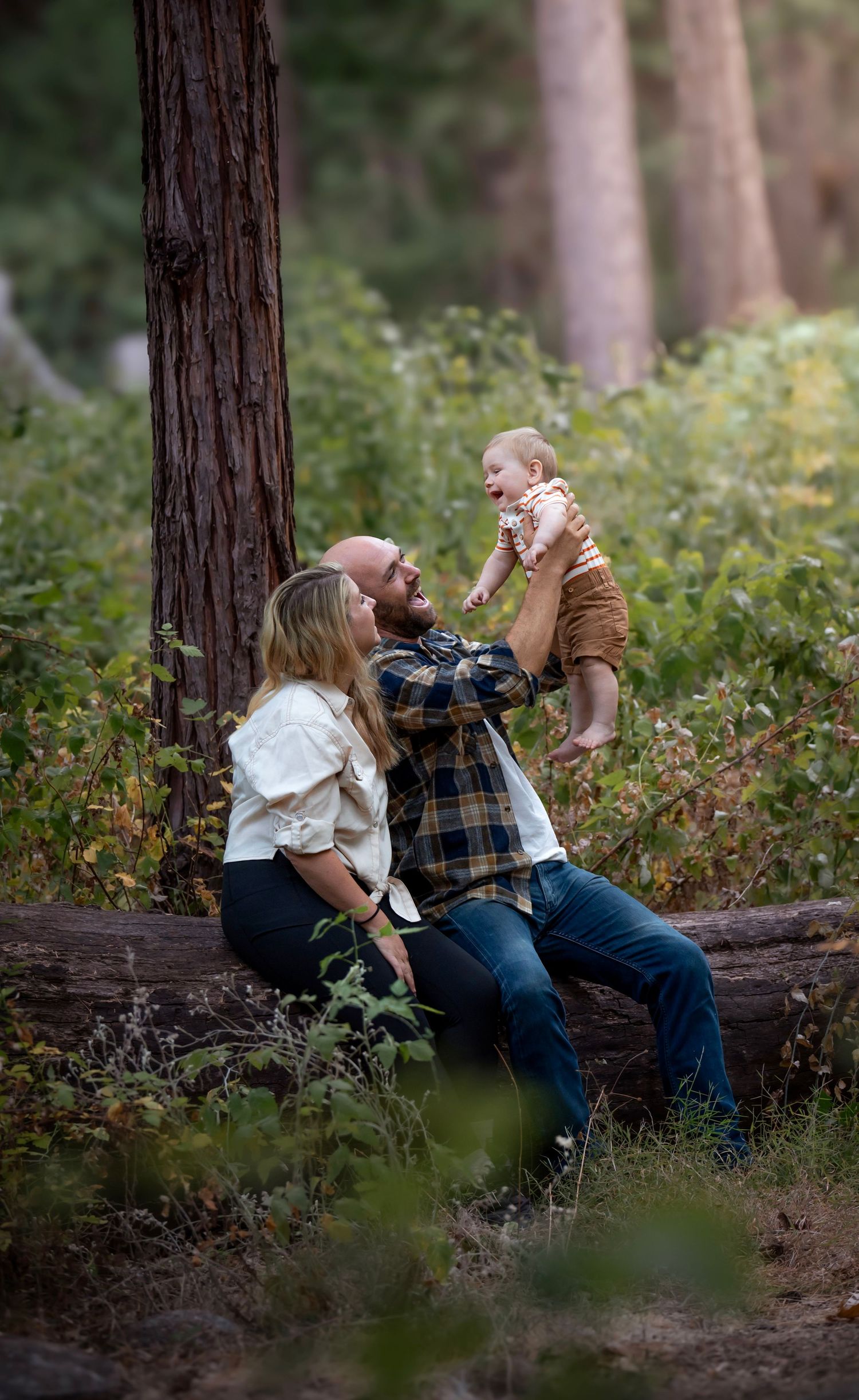 A family camping trip with their baby and dog lifestyle session in Yosemite, California