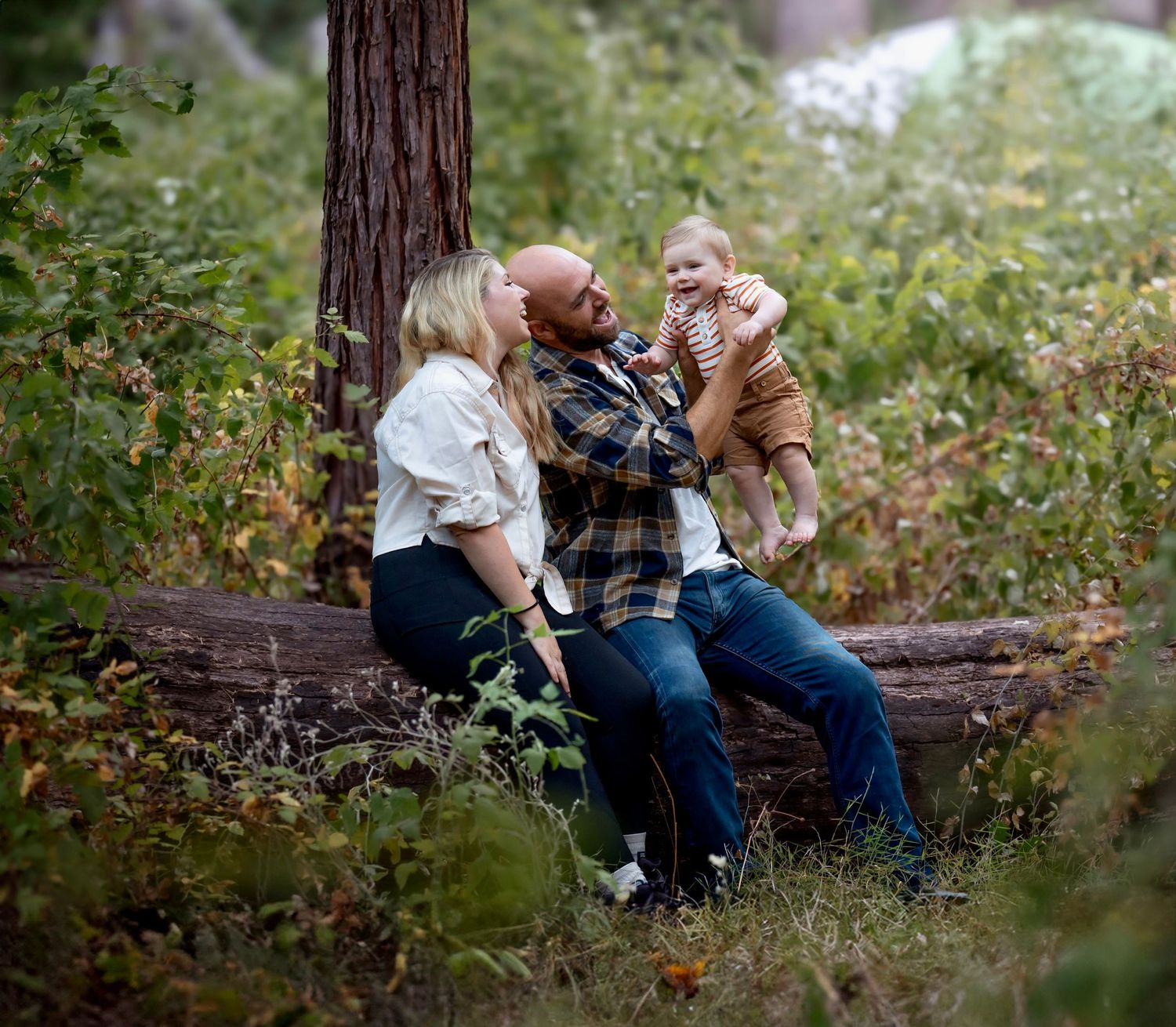 A family camping trip with their baby and dog lifestyle session in Yosemite, California