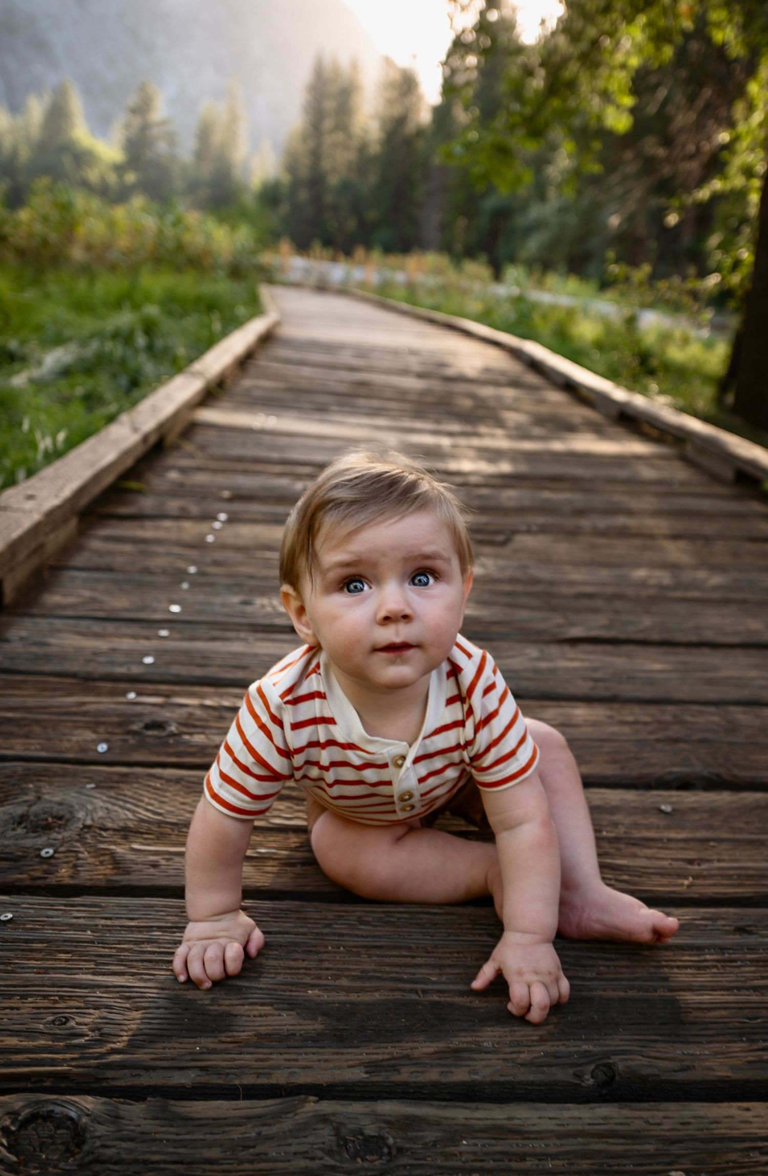 A family camping trip with their baby and dog at Curry Village in Yosemite, California