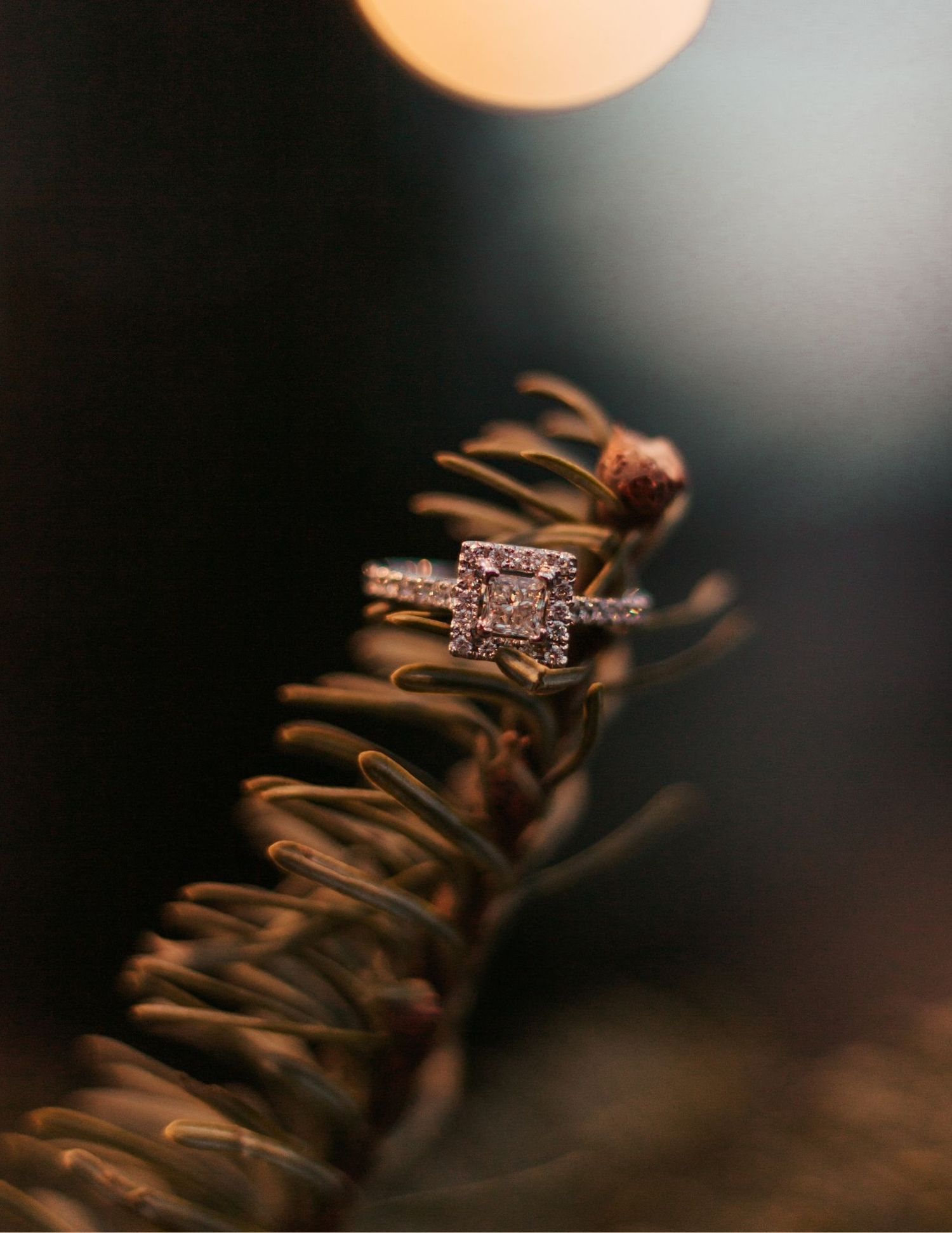Diamond halo engagement ring resting on a pine branch with soft bokeh lighting in the background|Westminster Colorado Proposal Photographer