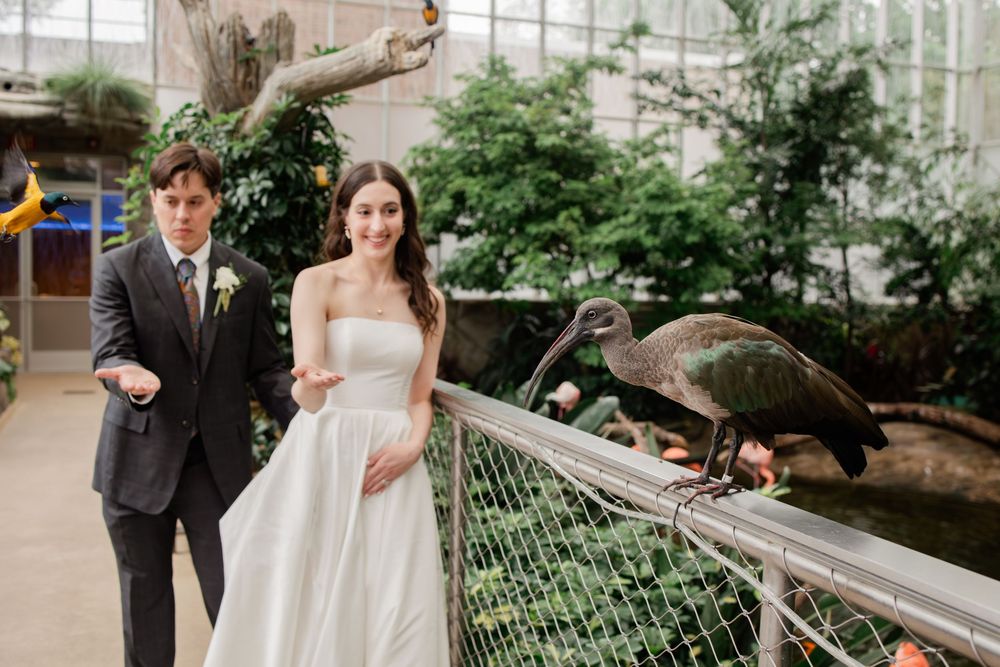 Wedding couple and guests gather in a bright greenhouse conservatory for an intimate ceremony.