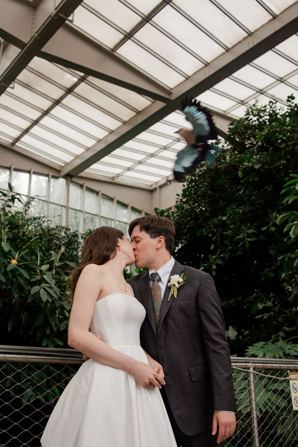 A couple shares a romantic kiss in a greenhouse setting with natural light streaming through the glass ceiling.