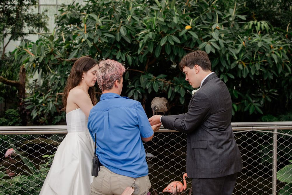 Wedding ceremony taking place in a lush indoor garden setting with guests seated in rows.