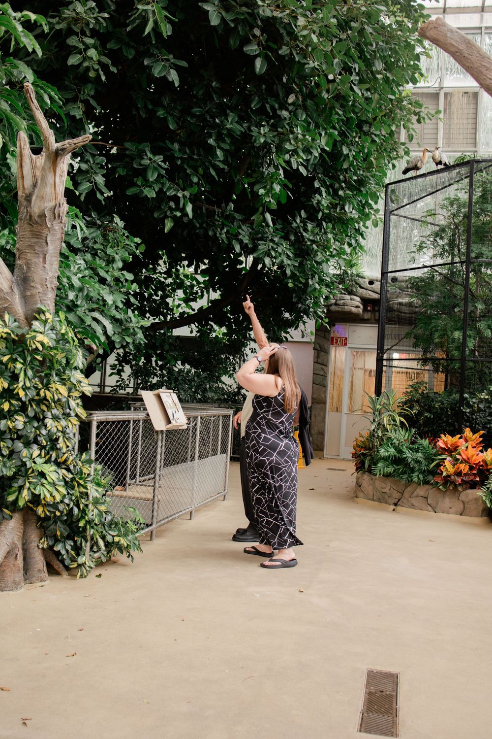 A series of photos showing someone falling backwards in a garden setting with lush green foliage and trees.