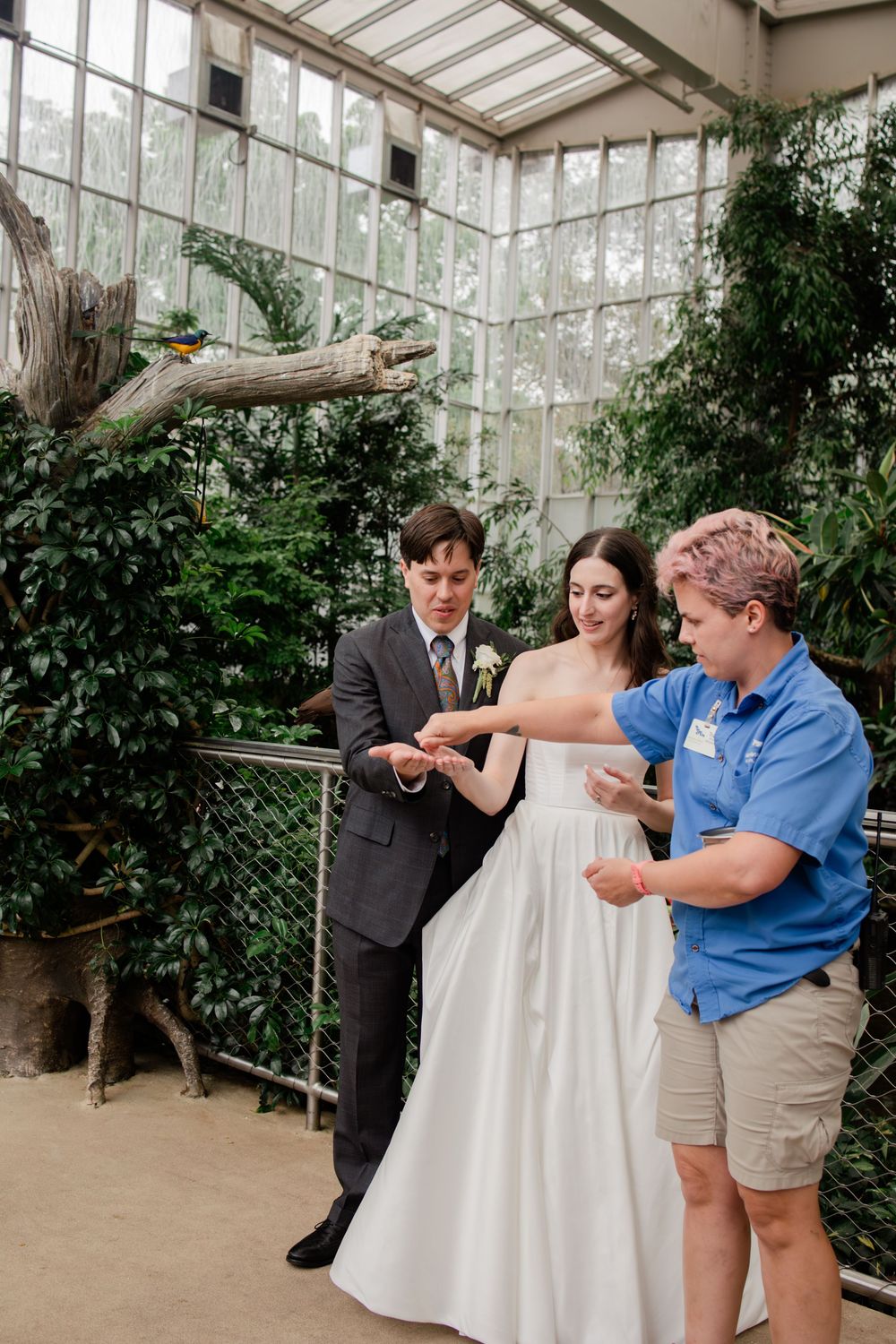 Wedding couple and officiant share a playful moment releasing butterflies in a greenhouse setting.