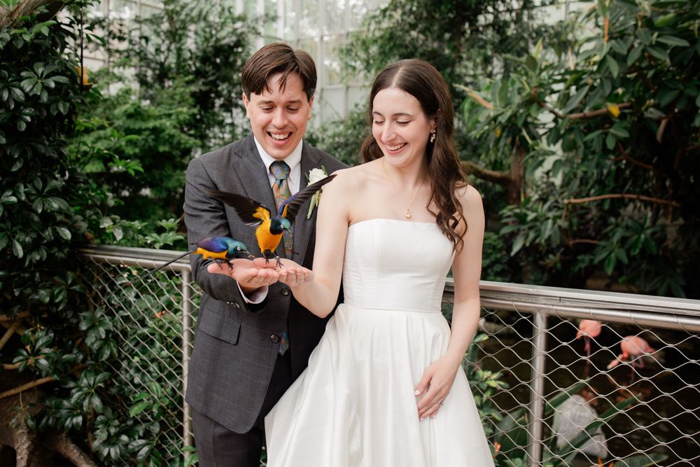 Couple and officiant watch with delight as butterflies take flight during greenhouse ceremony.