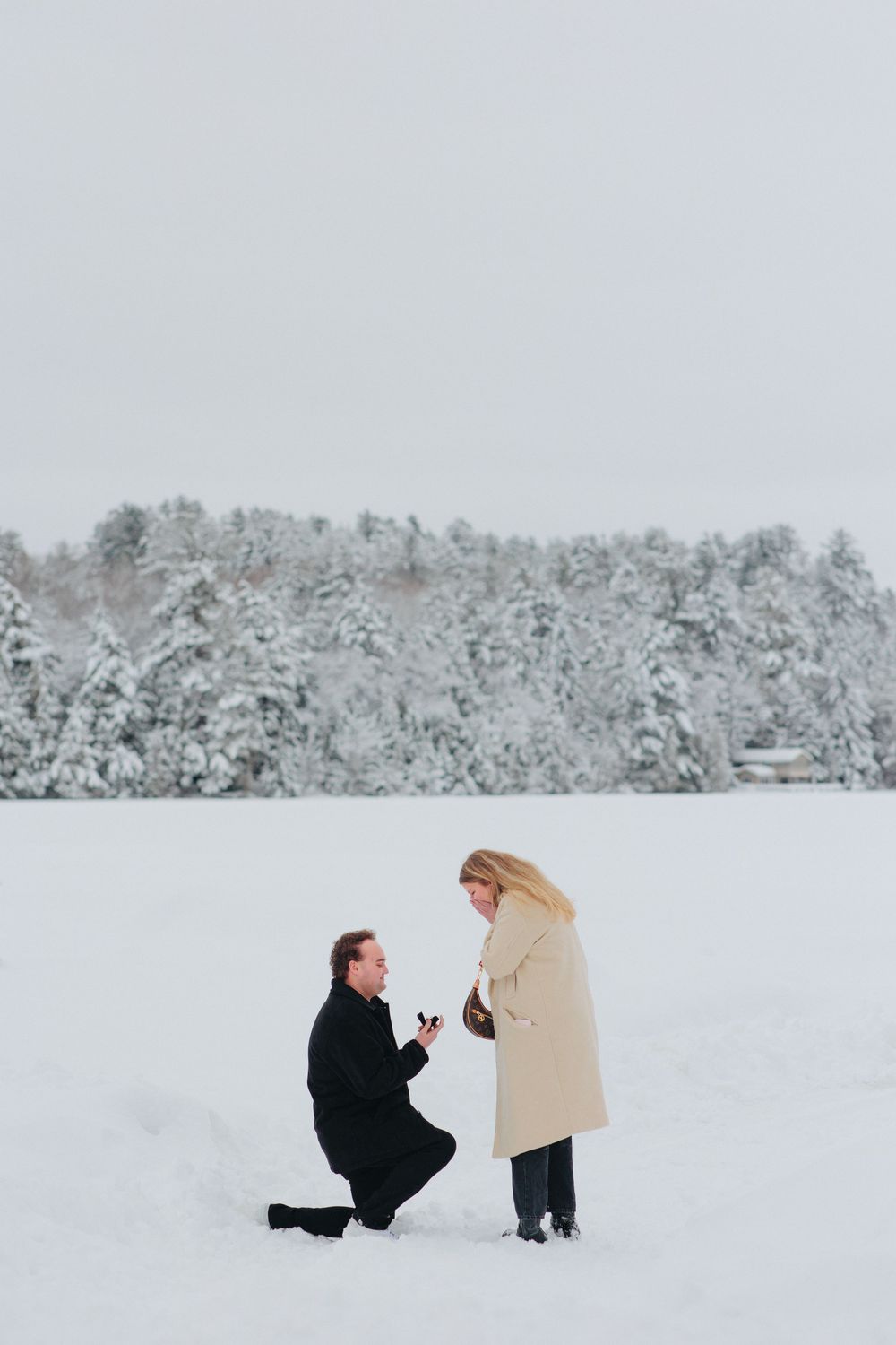A couple shares a romantic proposal moment in a serene snow-covered winter landscape with snow-capped trees in the background.