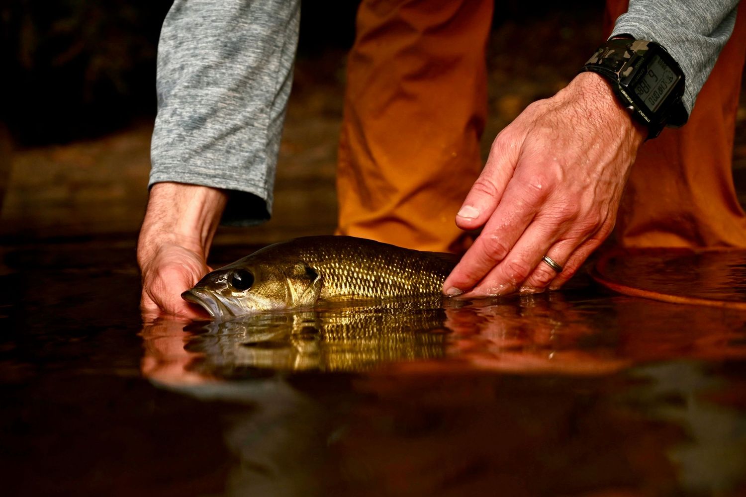 Alabama Fly Fishing