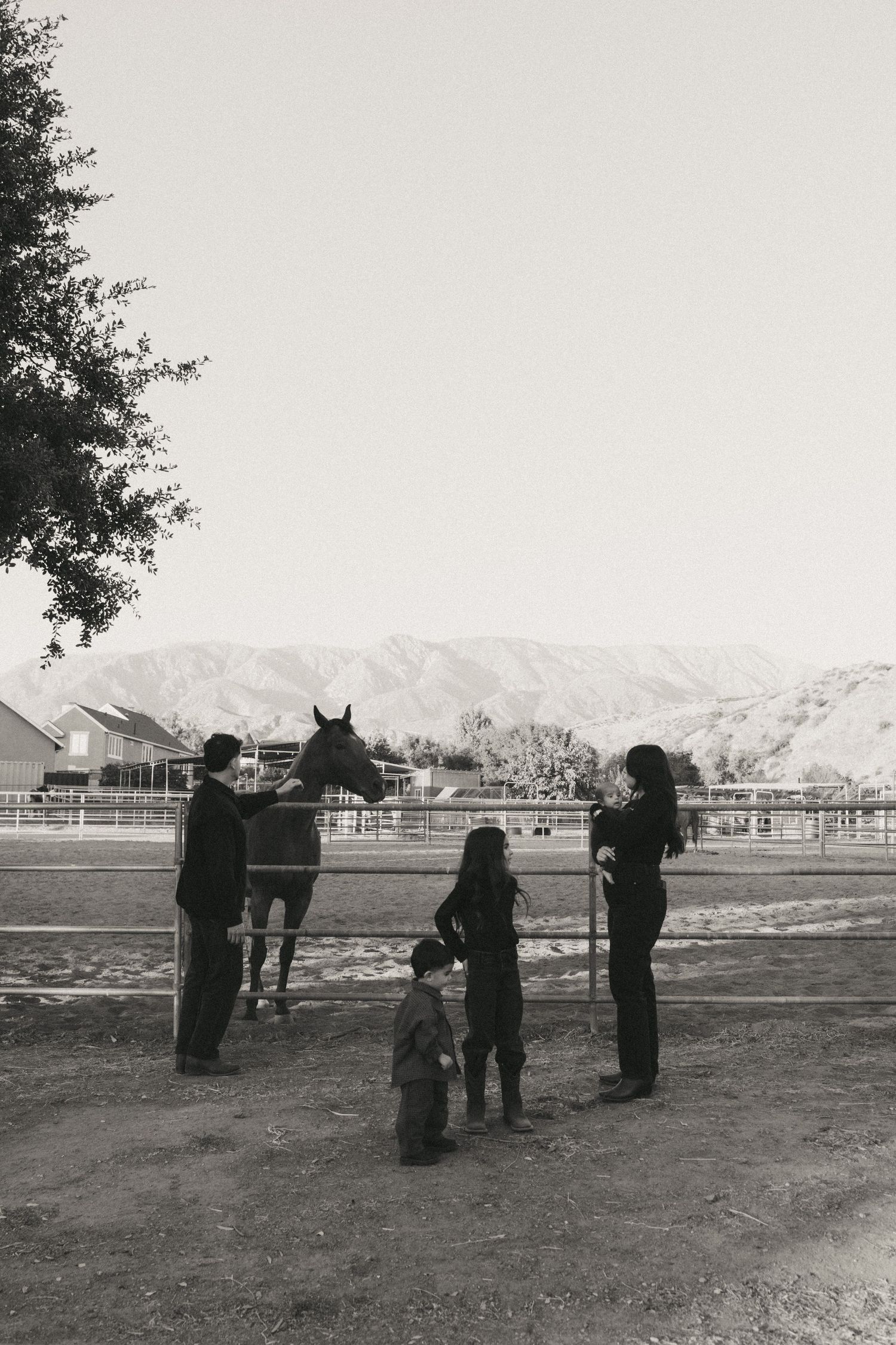 A sequence of vintage black and white photographs showing people with horses in a rural setting with mountains in background.