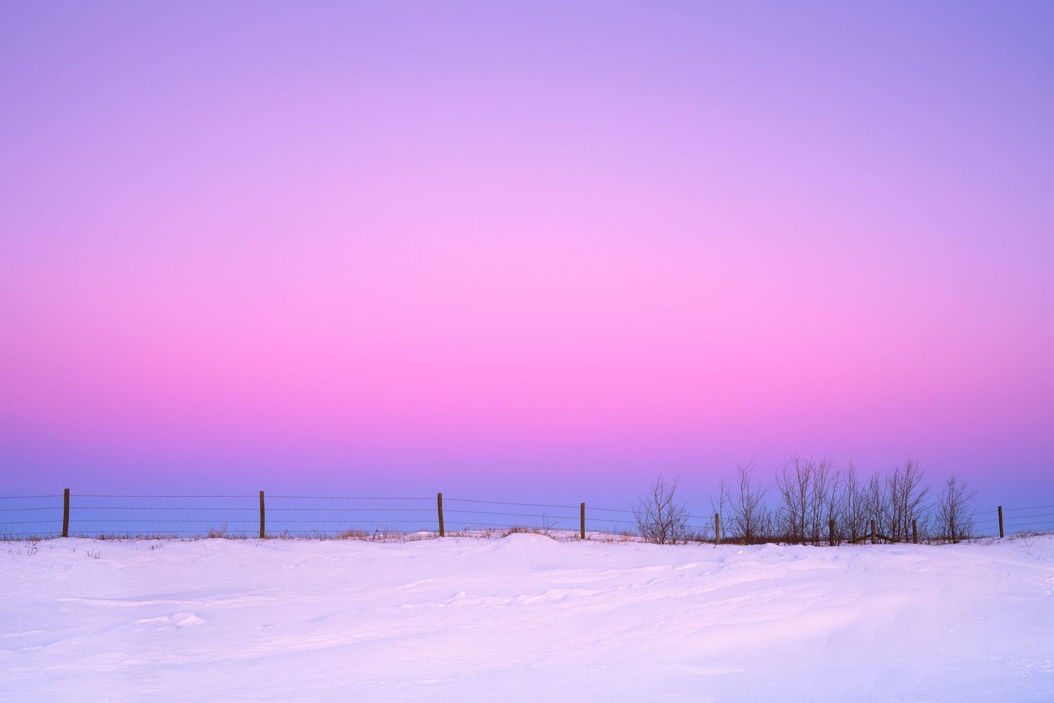 Stunning pink and purple sunset sky over snowy winter landscape with silhouetted fence posts and trees.