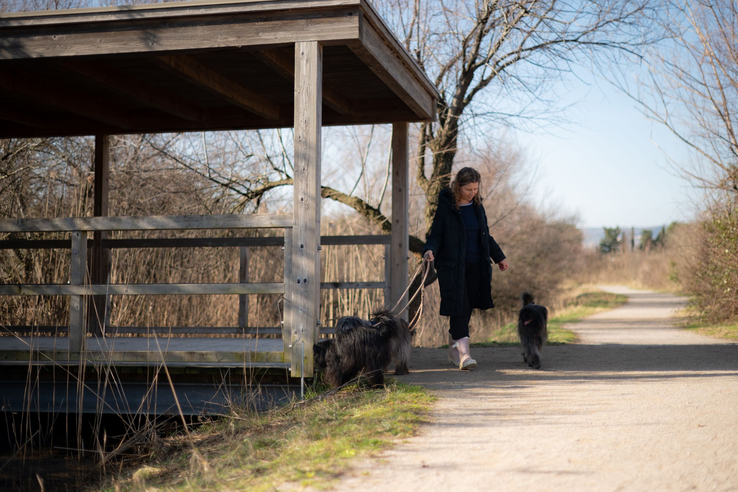 woman with her dog during a quiet photography session