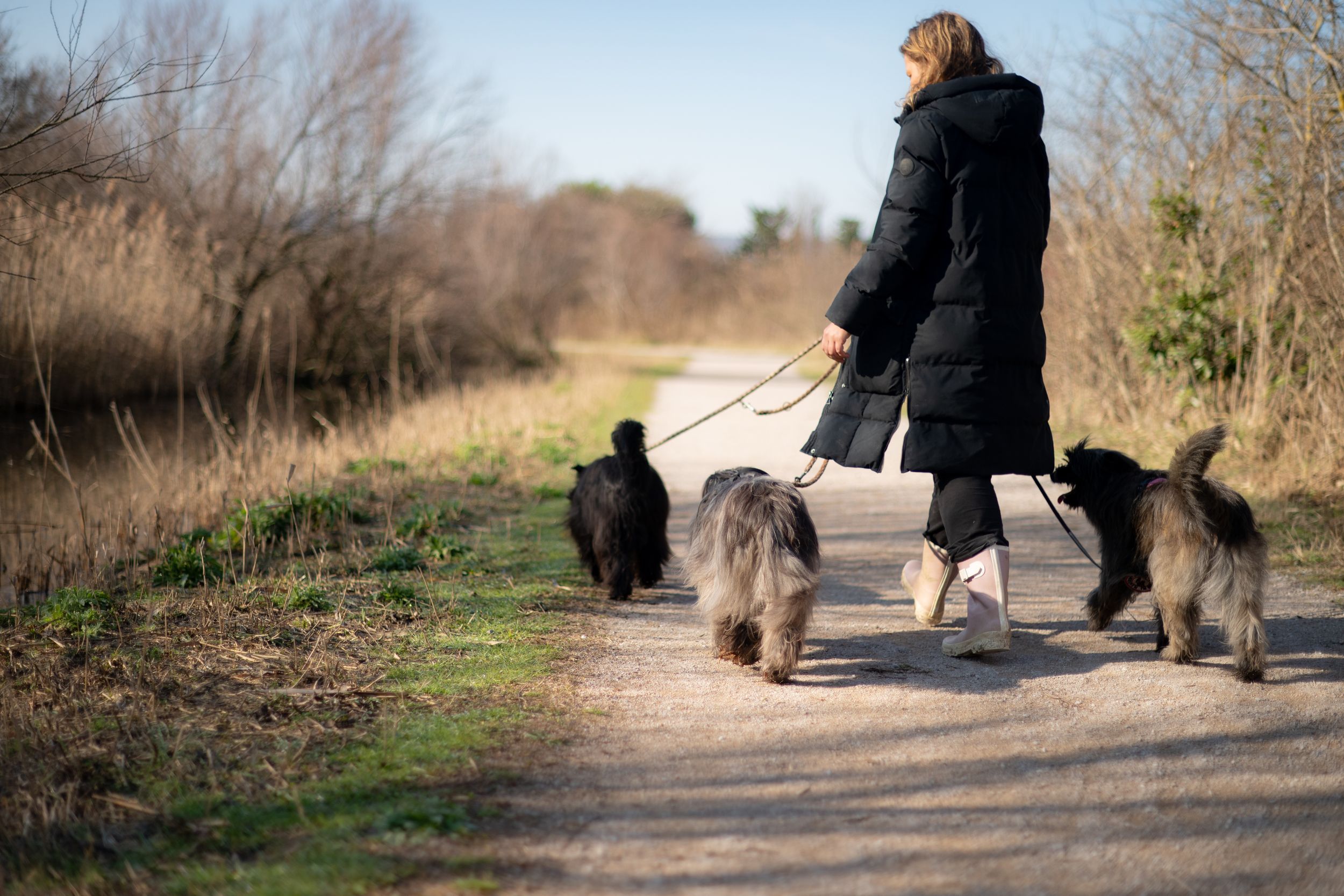 woman with her dog during a quiet photography session