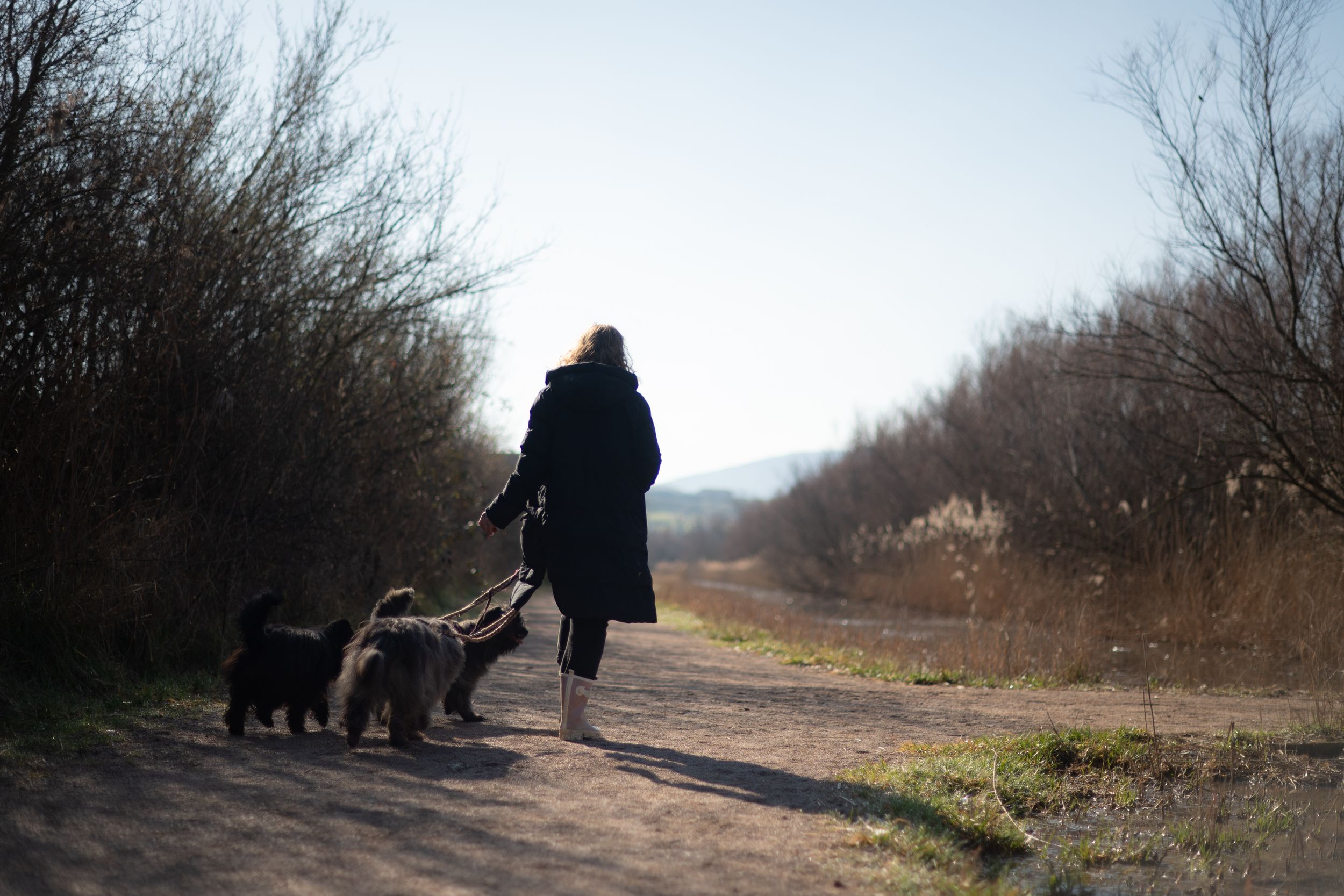 woman with her dog during a quiet photography session