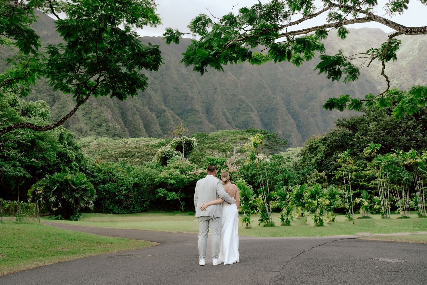A scenic panoramic view of lush green mountains and valleys in Hawaii with tropical foliage and winding roads.