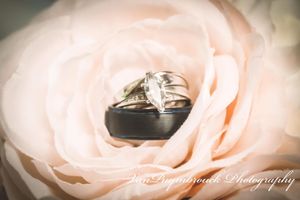 Soft pink roses in a romantic close-up sequence showing delicate petals and subtle lighting effects.
