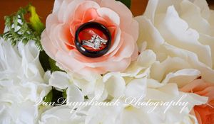 Delicate coral pink roses with soft petals arranged in a romantic floral display.