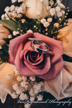 Wedding rings delicately placed on pink roses with baby's breath flowers in a romantic arrangement.