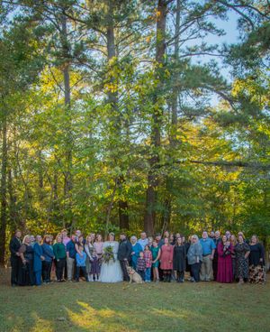 Large wedding party group photo taken outdoors in a wooded setting with golden sunlight filtering through trees.