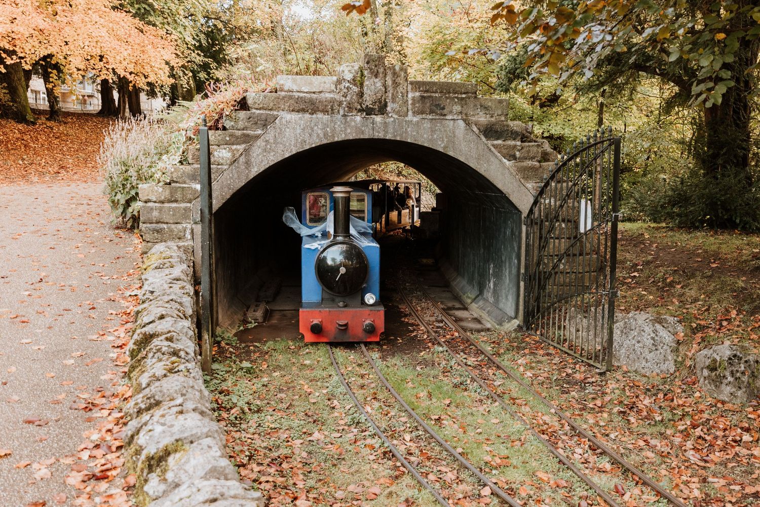 A red train emerges from a stone tunnel surrounded by autumn foliage and fallen leaves on a forest path.