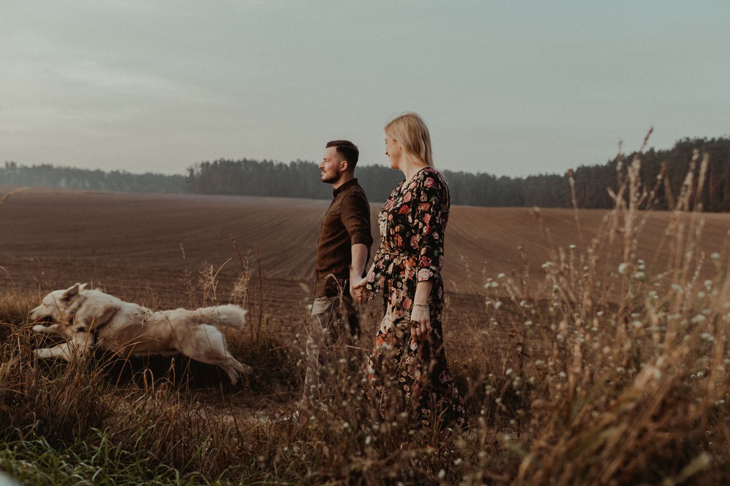 A dog and people walking along a scenic dirt path through autumn fields at sunset.