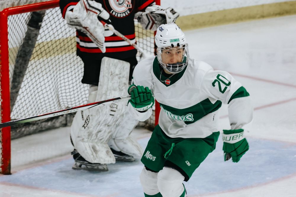 Hockey goalie in white jersey and green pants makes a diving save to block the puck during an intense game.