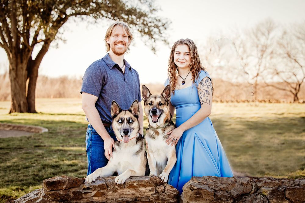 A couple sits outdoors with their two husky dogs during a golden sunset photo session.