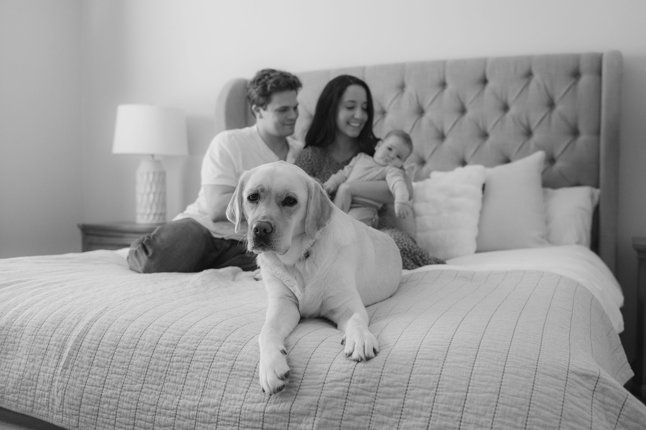 A black and white image shows a couple sitting on a bed with a dog, creating a cozy and intimate scene.