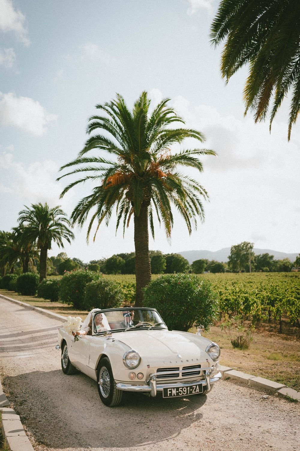 Une voiture décapotable blanche ancienne classique garée sur une route bordée de palmiers dans un cadre viticole pittoresque.