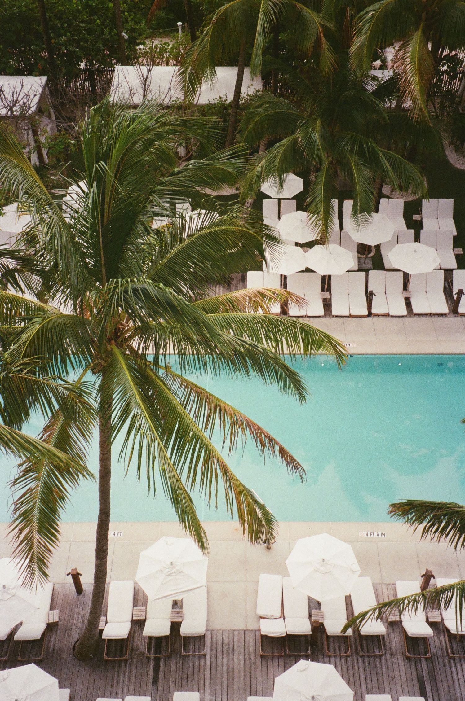 Outdoor garden wedding ceremony setup with white chairs and floral decorations under trees in natural sunlight.