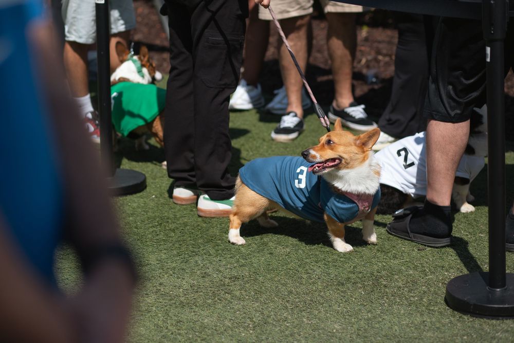 Corgi Dash event photography by Miami-based photographer Teá Mox.