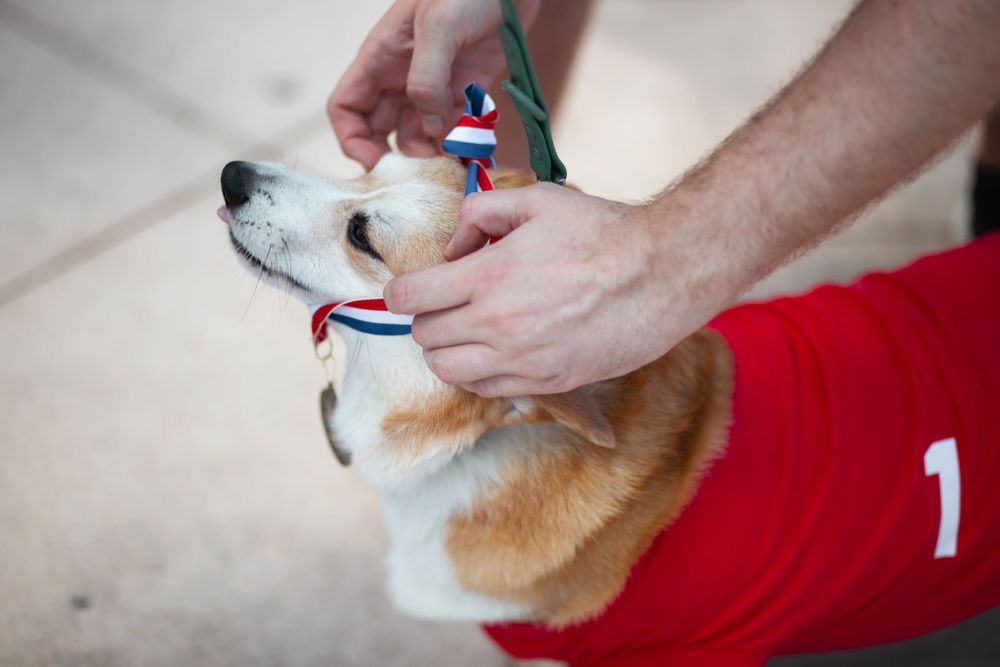 Corgi Dash event photography by Miami-based photographer Teá Mox.