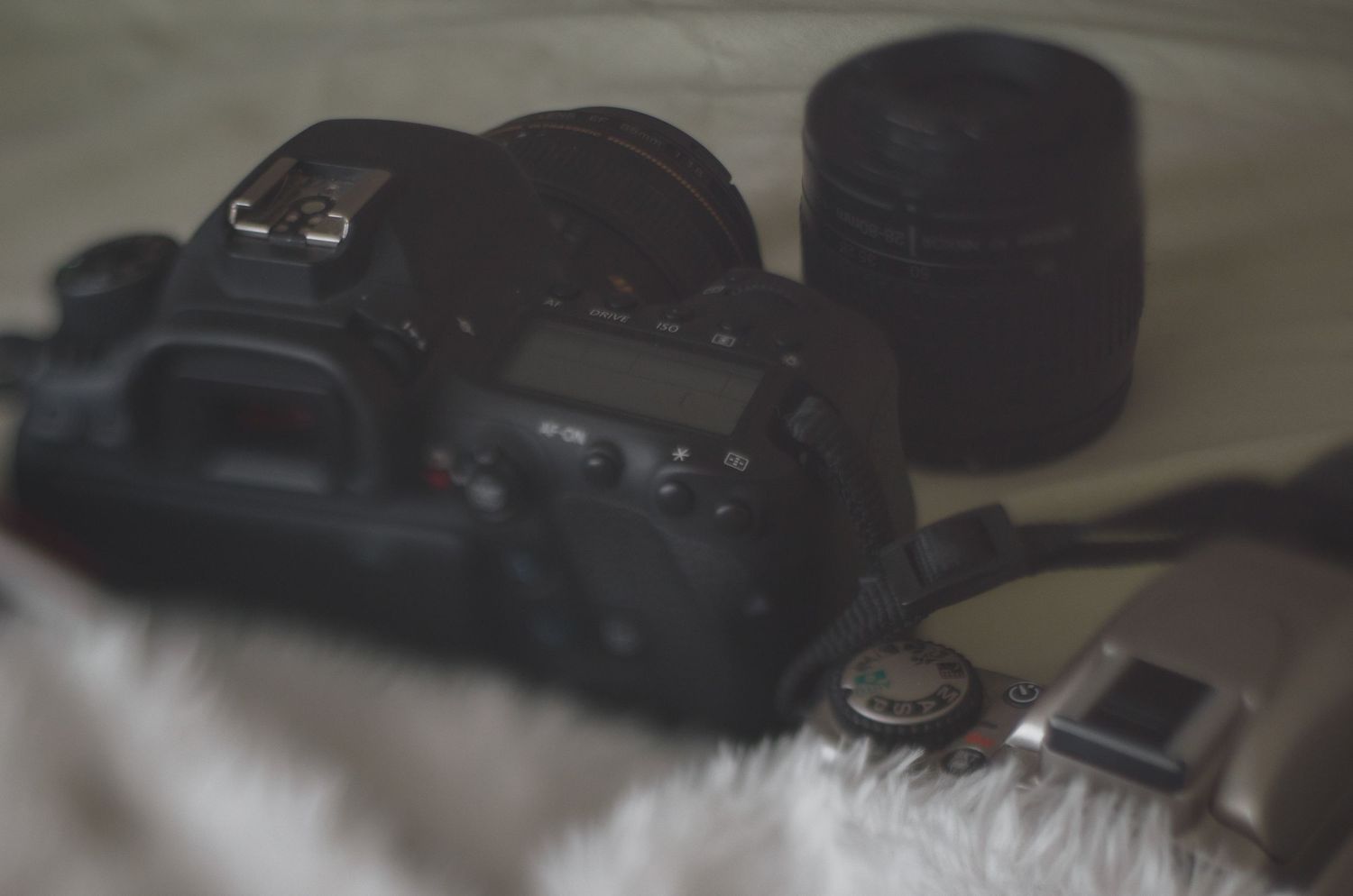 Photography by Miami-based photographer Teá Mox.