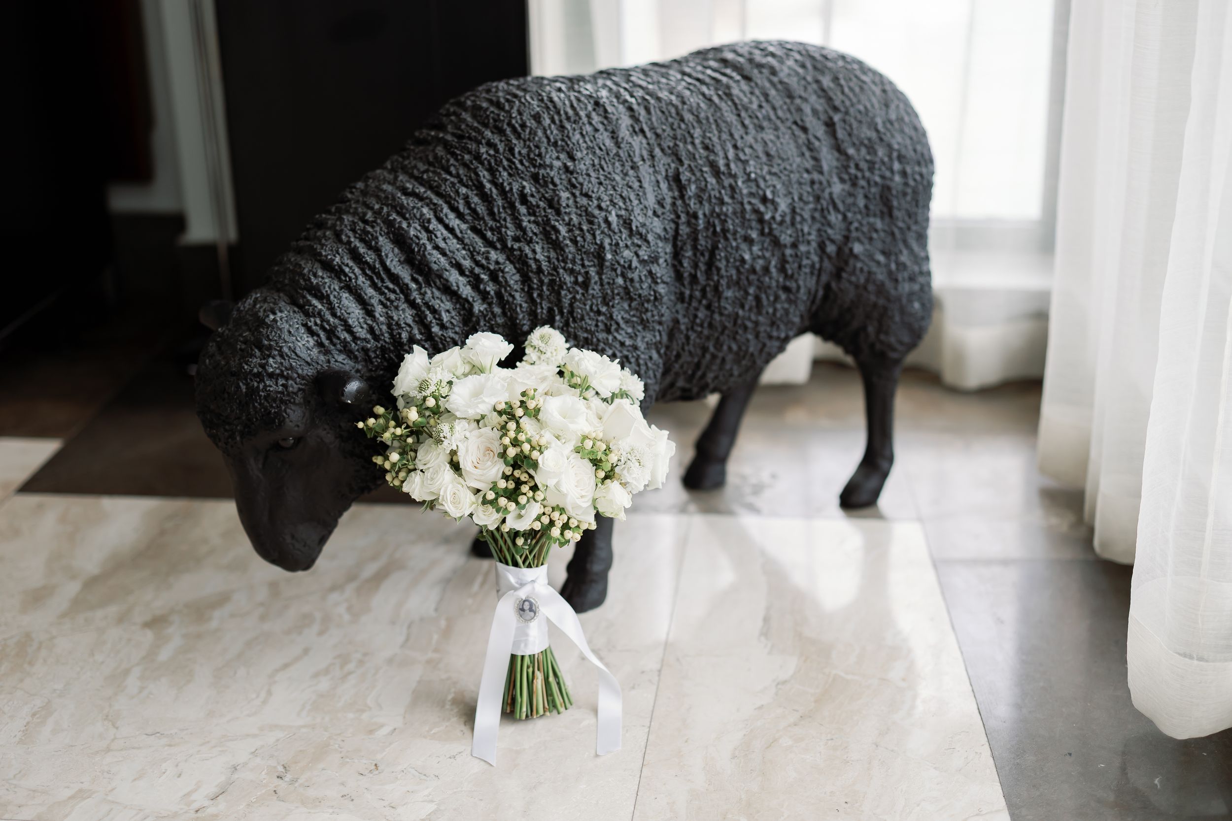 A black sheep stands in a room, holding a bouquet of white flowers.