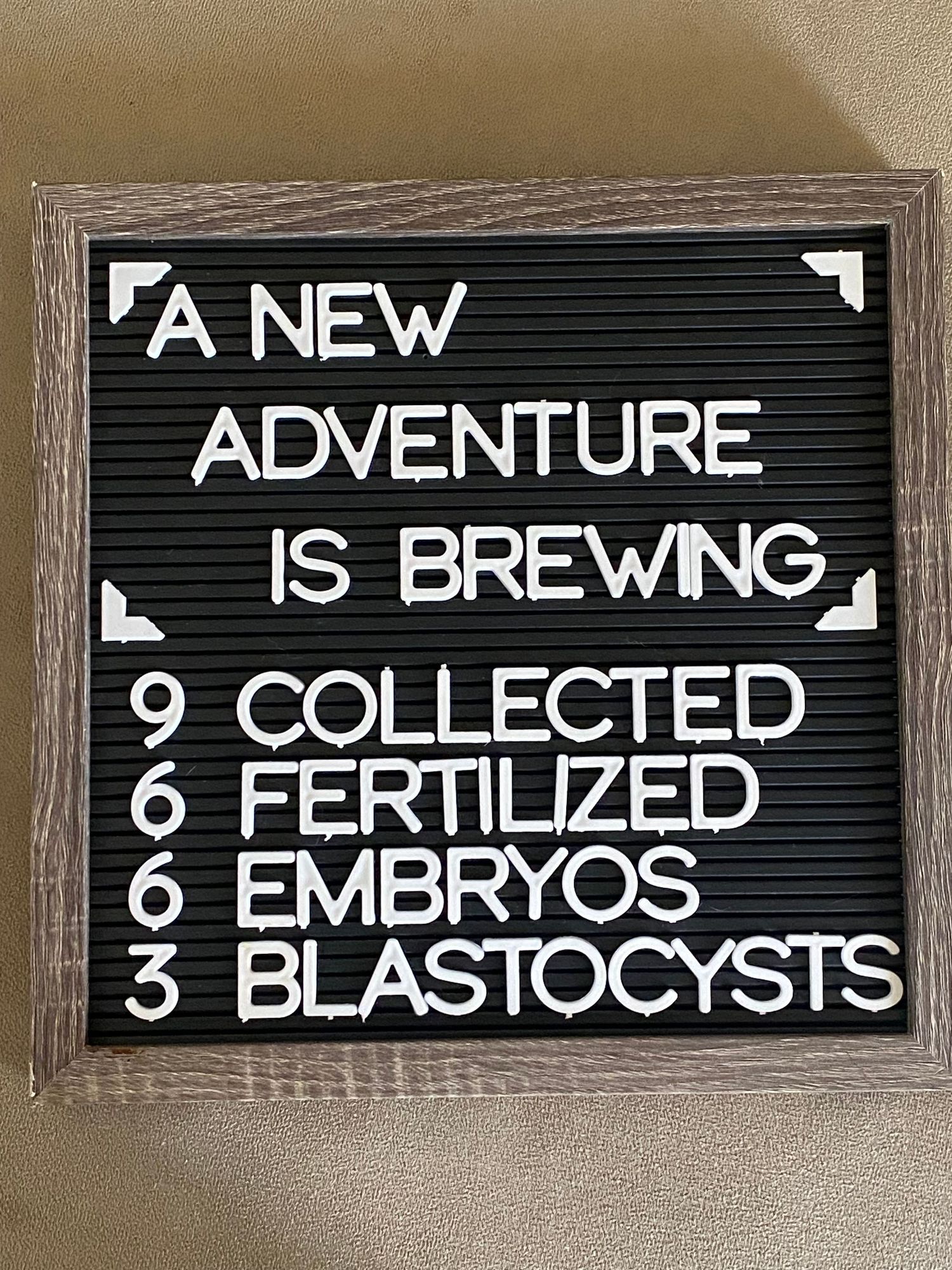 Black and white menu board displays text about brewing adventures and blastocysts in a minimalist style.