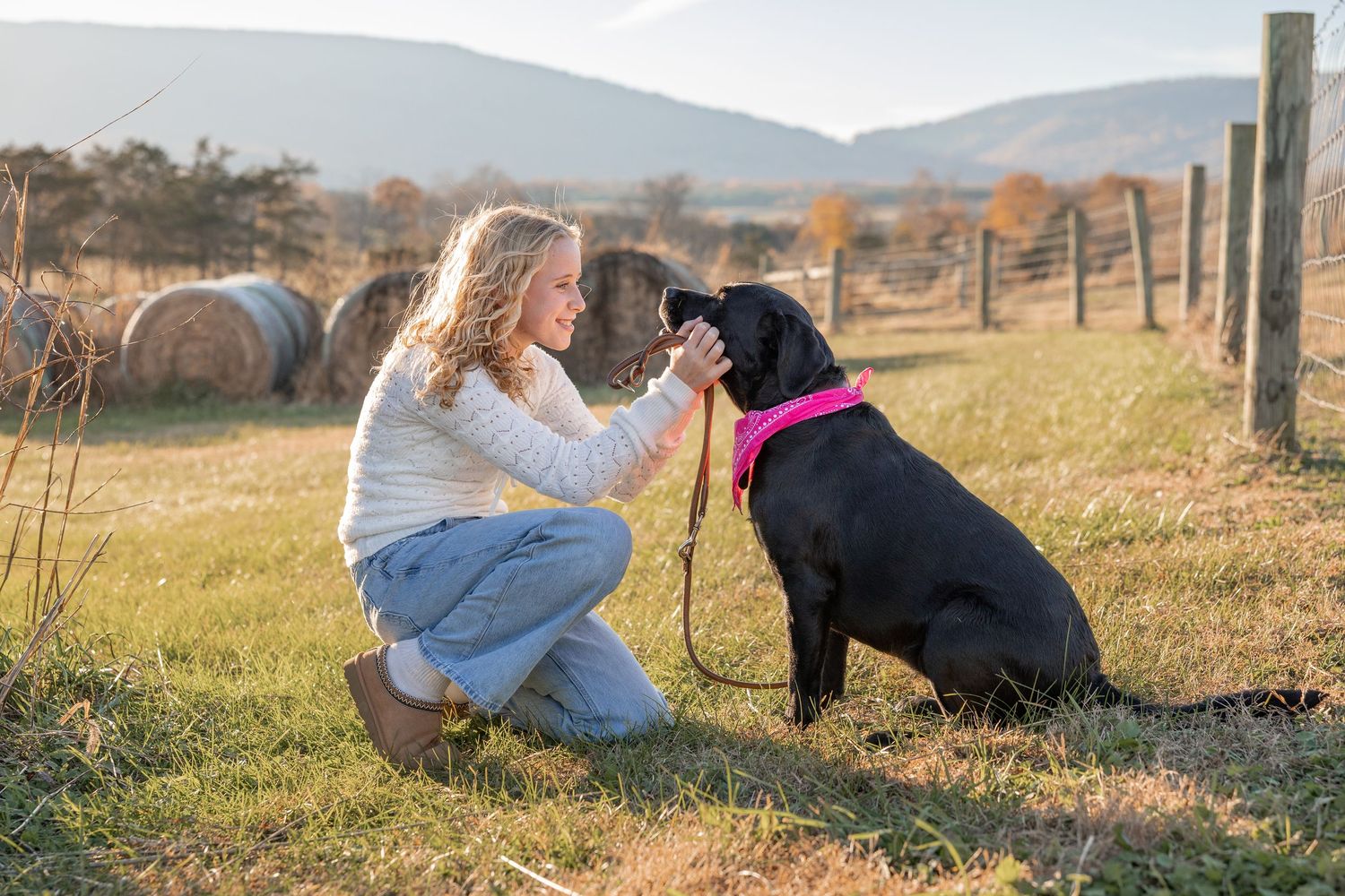 A dog and person play together in a sunlit grassy field with wooden fencing and mountains in the background.