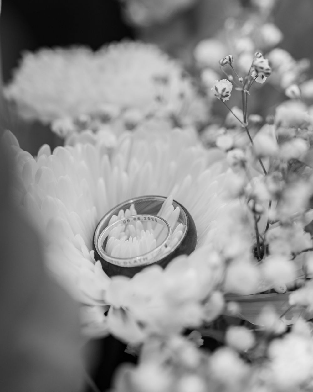 Black and white photo of wedding rings nestled among white chrysanthemums and baby's breath flowers.