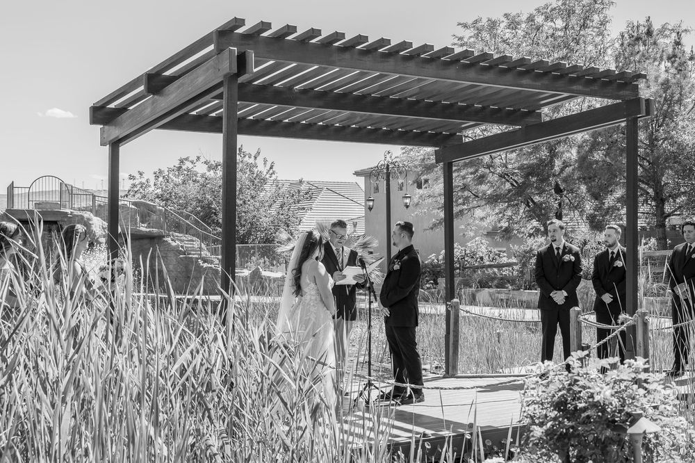 Black and white outdoor wedding ceremony under pergola with bride, groom, and officiant surrounded by lush gardens.