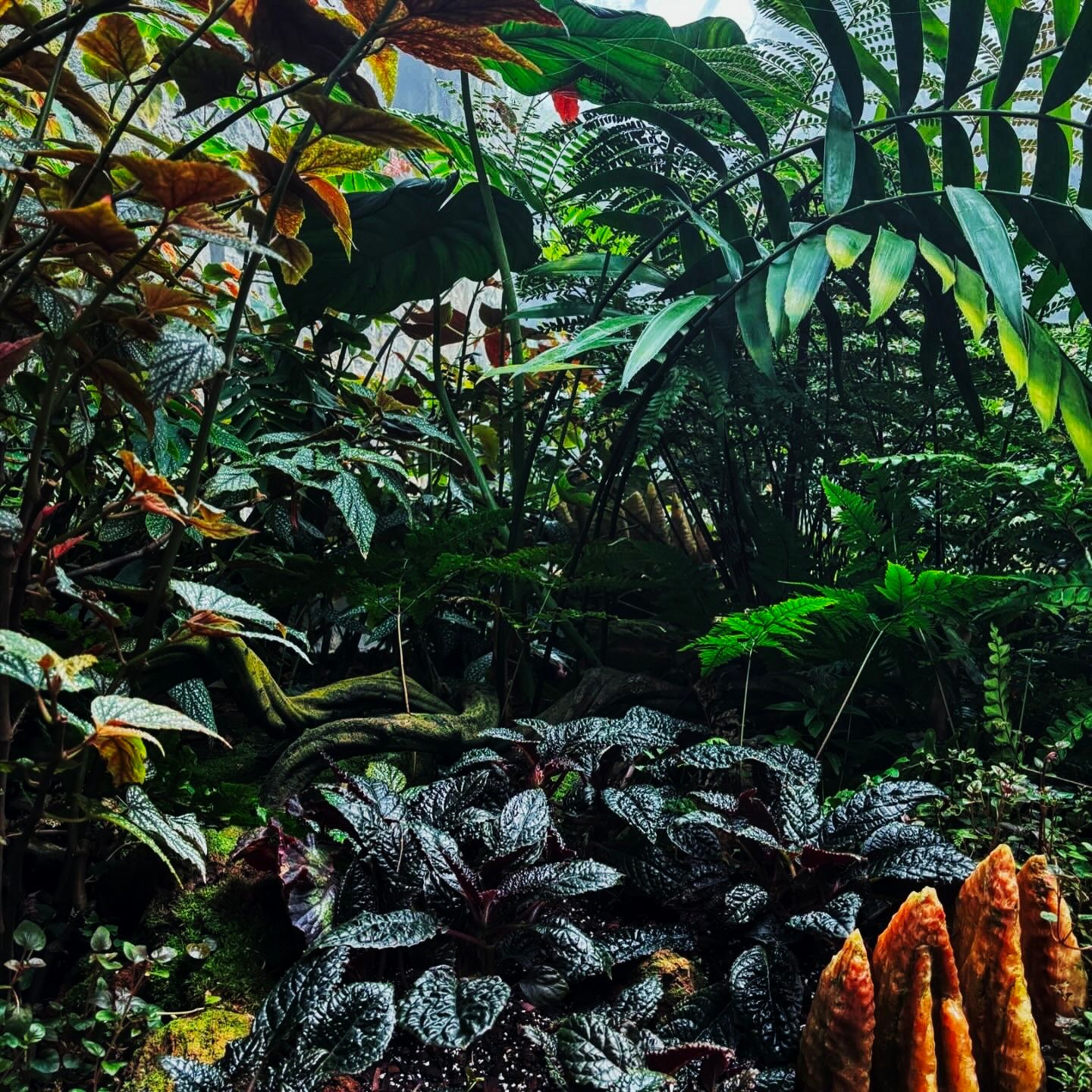 Lush greenery with vibrant and red exotic plants, large leaves, and orange flower spikes.