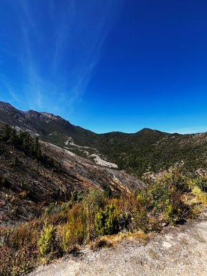 The hills of Tasmania covered by a bright blue sky