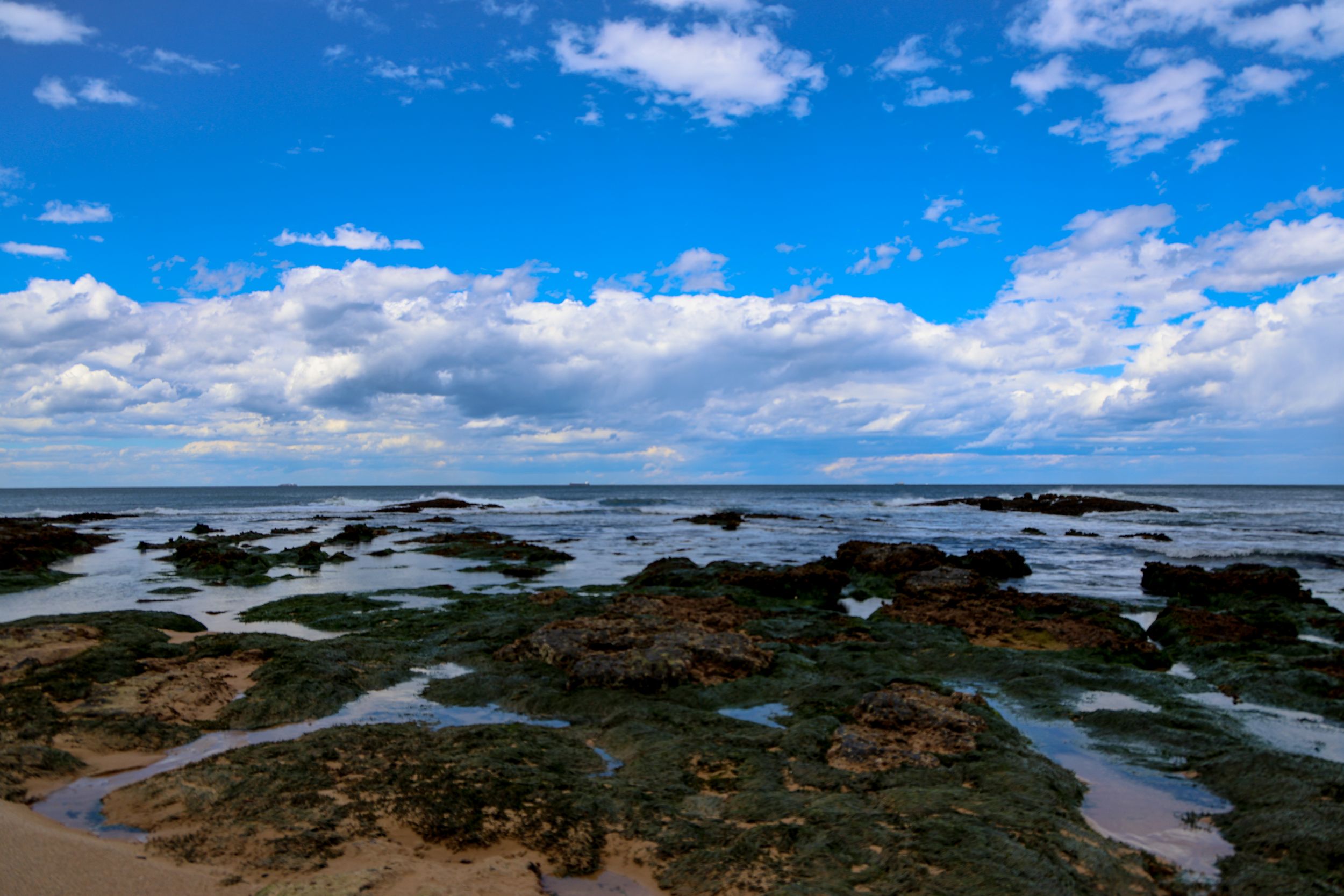 Water flowing in between moss and algae covered rocks at Wollongong beach