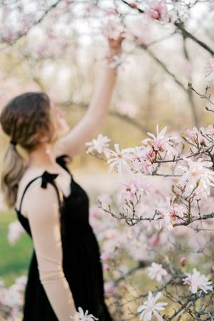 A person in a black dress reaches up to touch delicate pink cherry blossoms blooming on tree branches in spring.