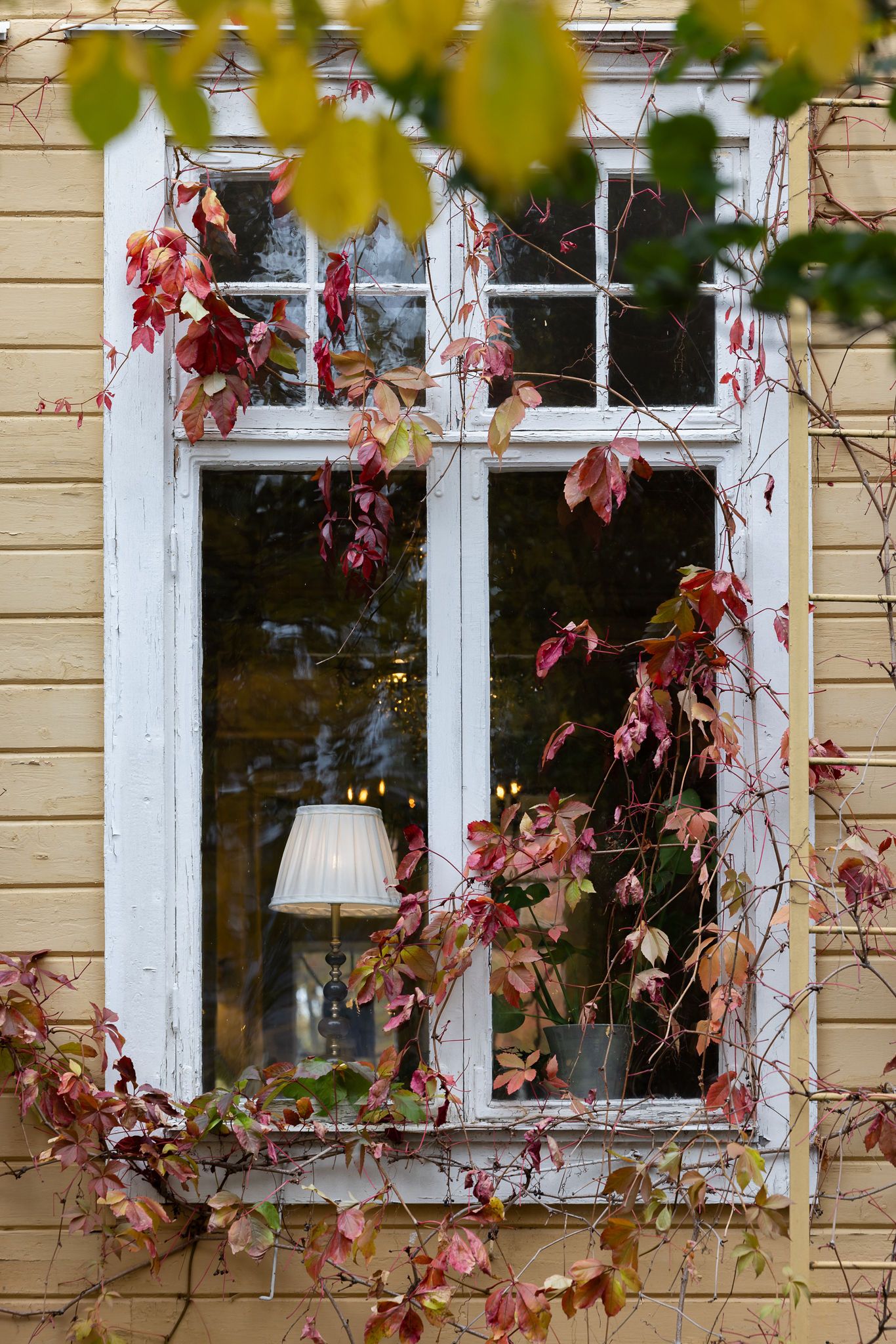 Företagsfotograf, Leksand, Dalarna. Företagsfotografering Korstäppans Herrgård.