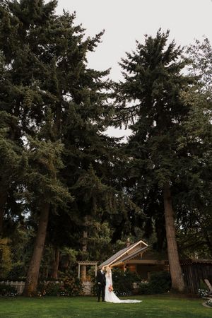 A wedding scene at a rustic outdoor venue surrounded by tall evergreen trees on a cloudy day.