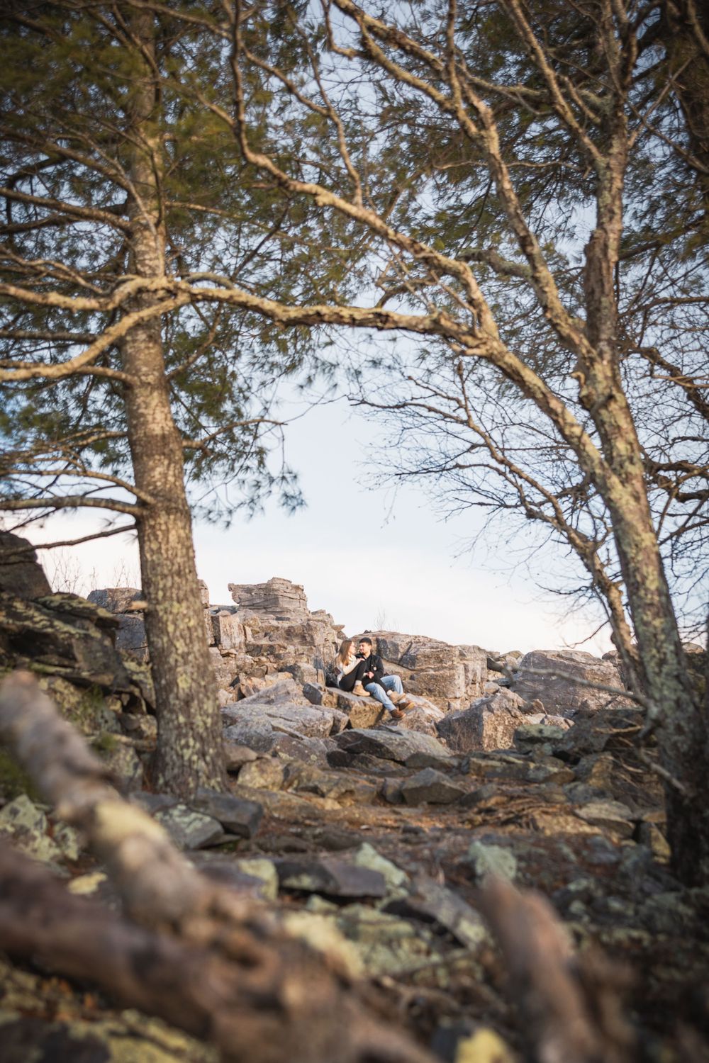 Pine trees frame a rocky outcrop against a bright sky in a serene natural setting.