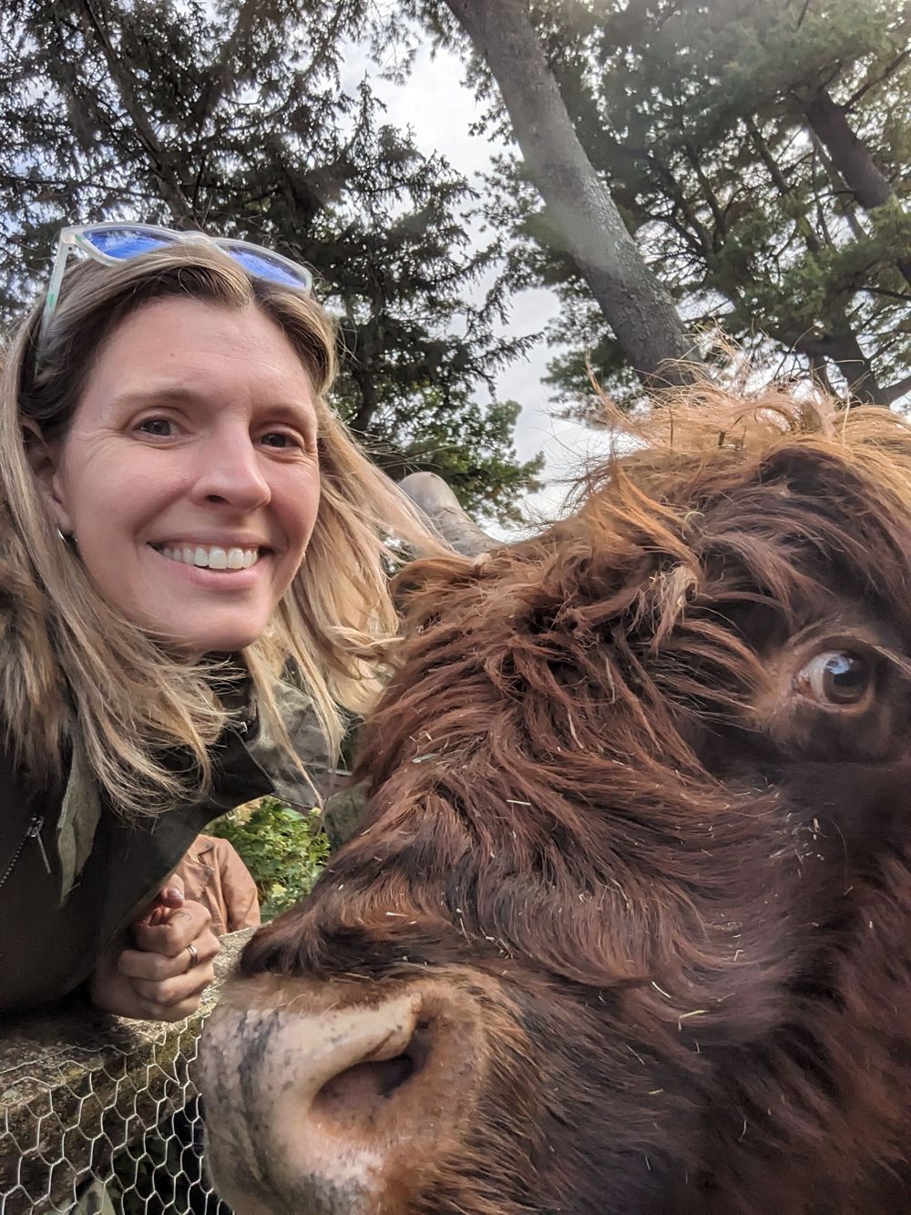 A close-up selfie with a shaggy brown Highland cow showing its distinctive long hair and curious expression.