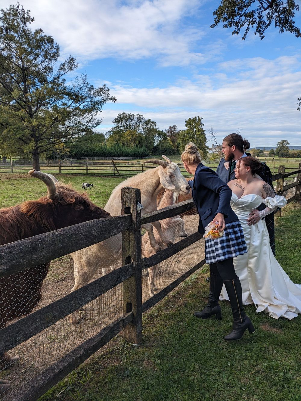 People in wedding attire feed horses over a wooden fence at a rustic farm on a beautiful sunny day.